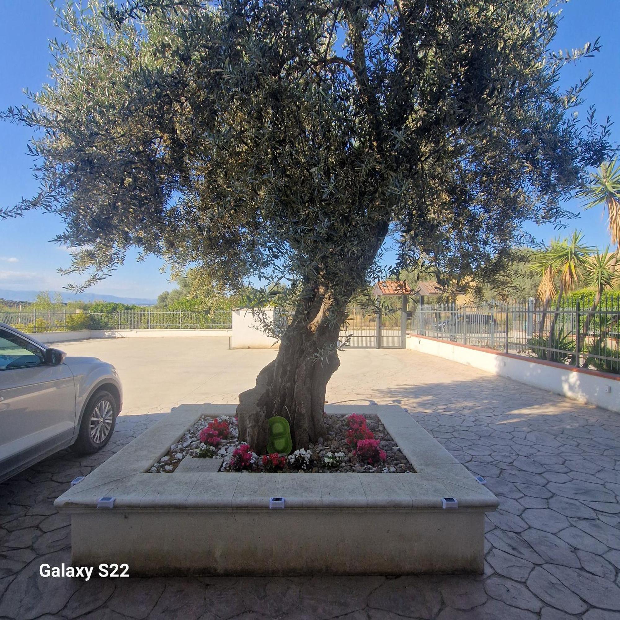 Casale Marcalia - Bed & Breakfast Corigliano Calabro Exterior foto